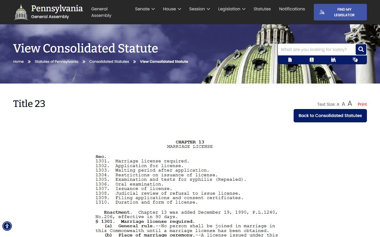Wayne County marriage records Pennsylvania marriage license chapter